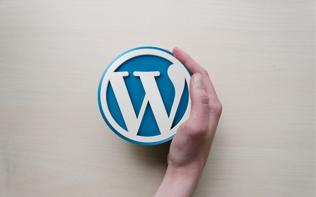 WordPress Performance Optimization Tips for a Faster Site